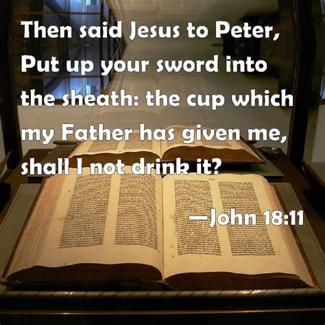 John 18:11 .